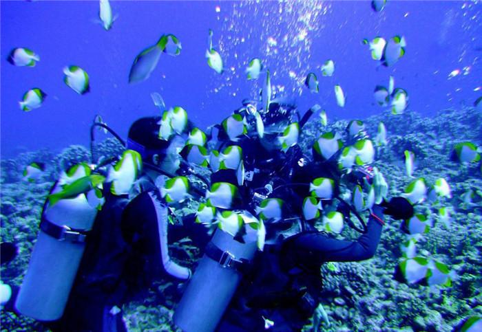 小米集团-W1月24日斥资约9473.27万港元回购700万股