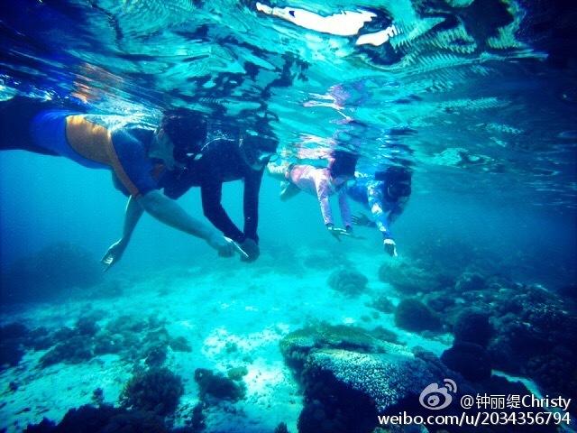 小猫钓鱼游戏龙王版有船