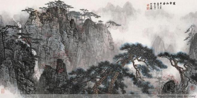 漂亮鹦鹉救援
