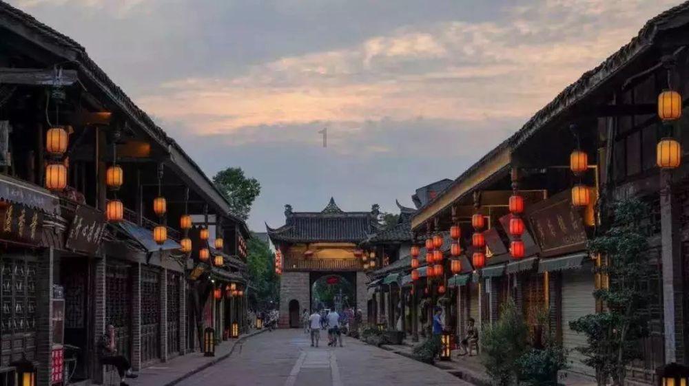 寻找萌宠松鼠